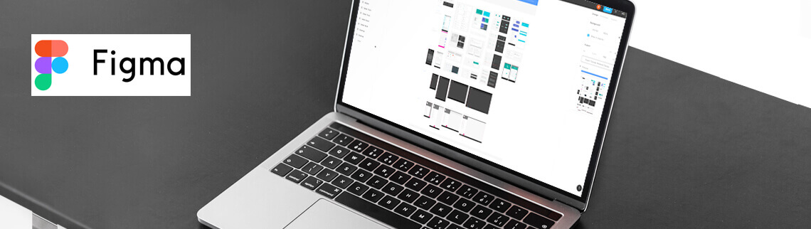 LM Web Solutions - כלים מתקדמים לעיצוב אתרים