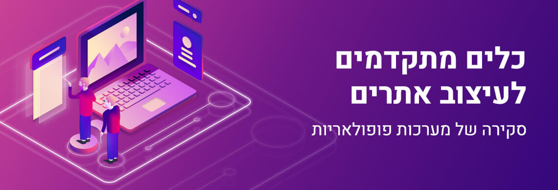 LM Web Solutions - כלים מתקדמים לעיצוב אתרים