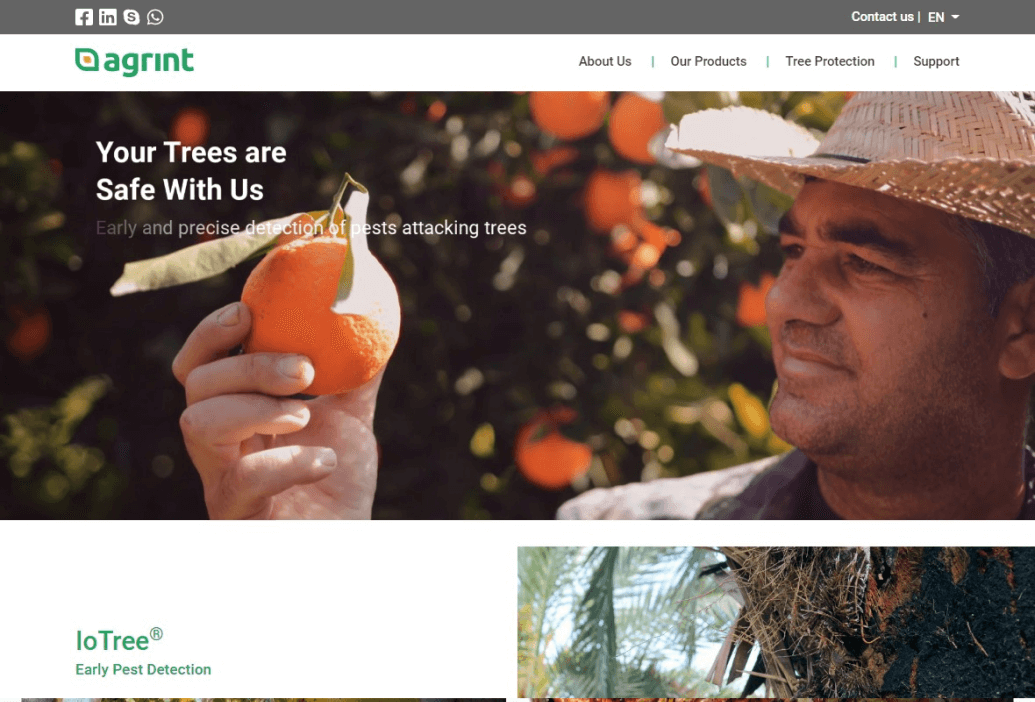 LM Web Solutions - Agrint