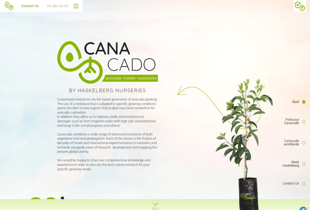 LM Web Solutions - Canacado