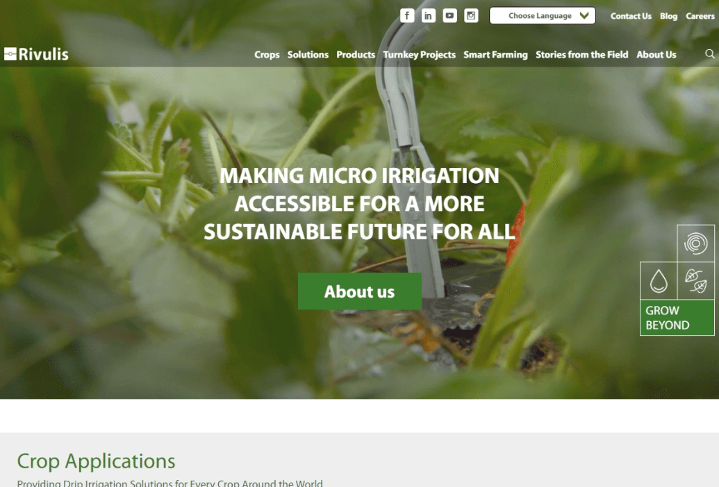 LM Web Solutions - Rivulis
