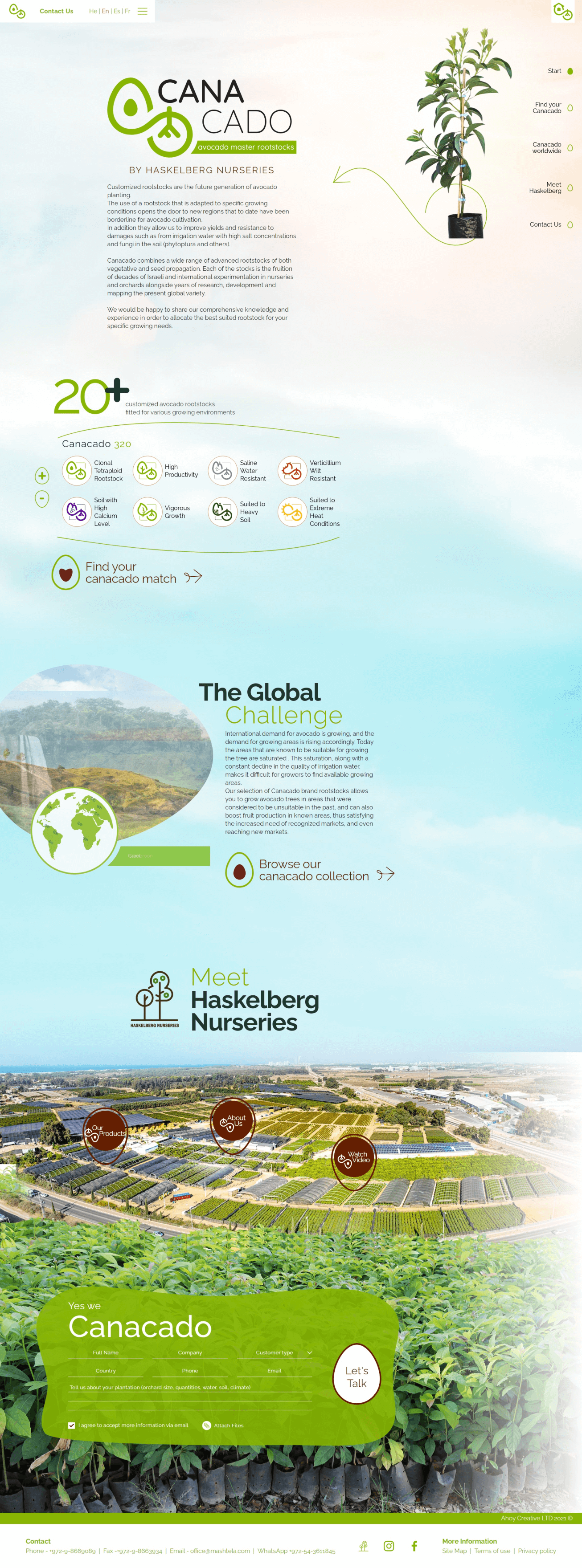 LM Web Solutions - Canacado