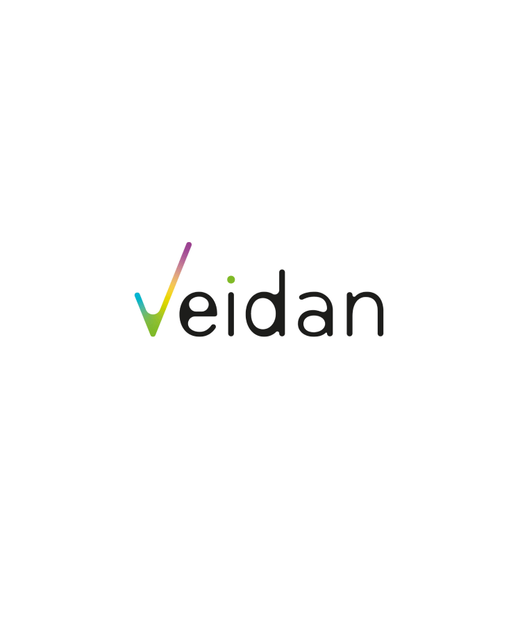 LM Web Solutions - Veidan