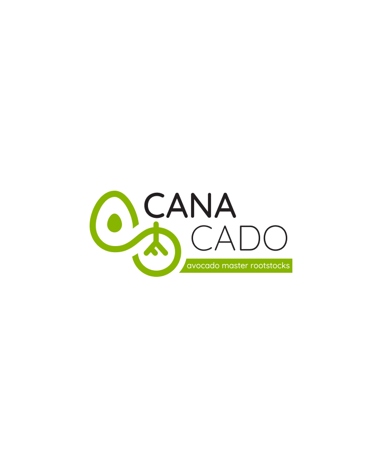LM Web Solutions - Canacado