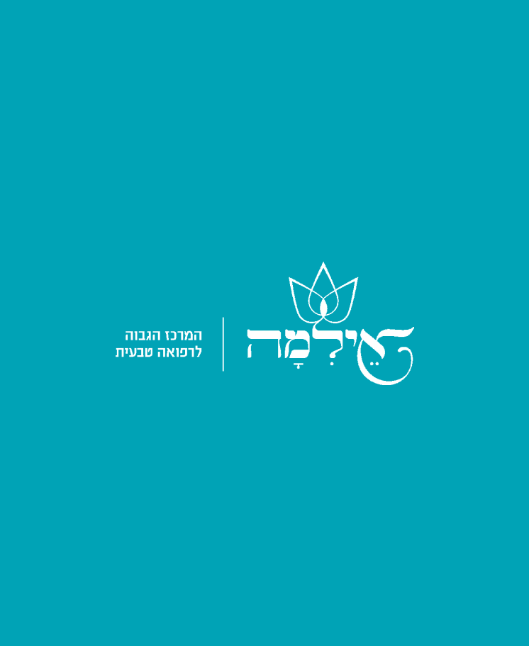 LM Web Solutions - אילמה