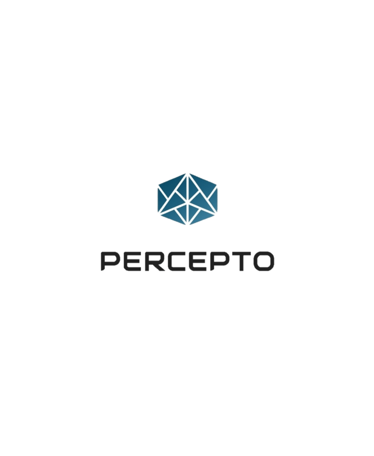 LM Web Solutions - Percepto