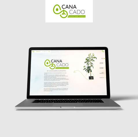 LM Web Solutions - Canacado