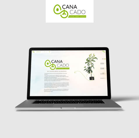 LM Web Solutions - Canacado