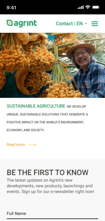 LM Web Solutions - Agrint