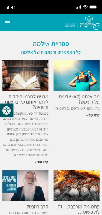 LM Web Solutions - אילמה