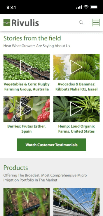 LM Web Solutions - Rivulis