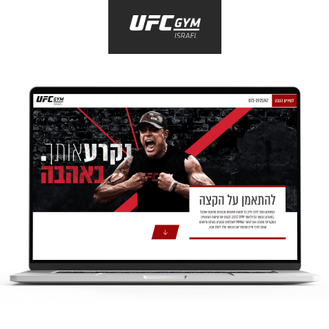 LM Web Solutions - Без заголовка