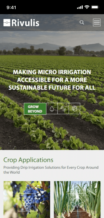 LM Web Solutions - Rivulis