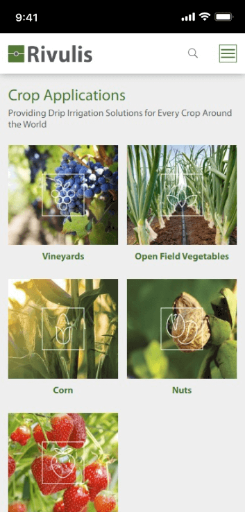 LM Web Solutions - Rivulis
