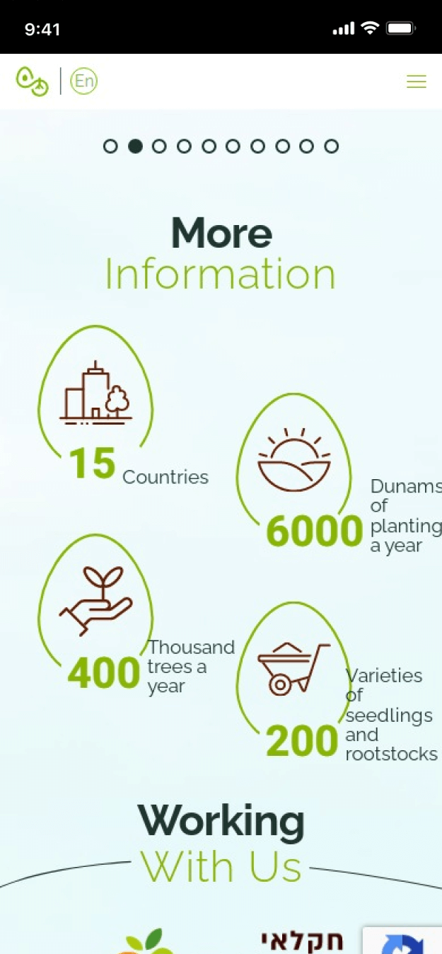 LM Web Solutions - Canacado