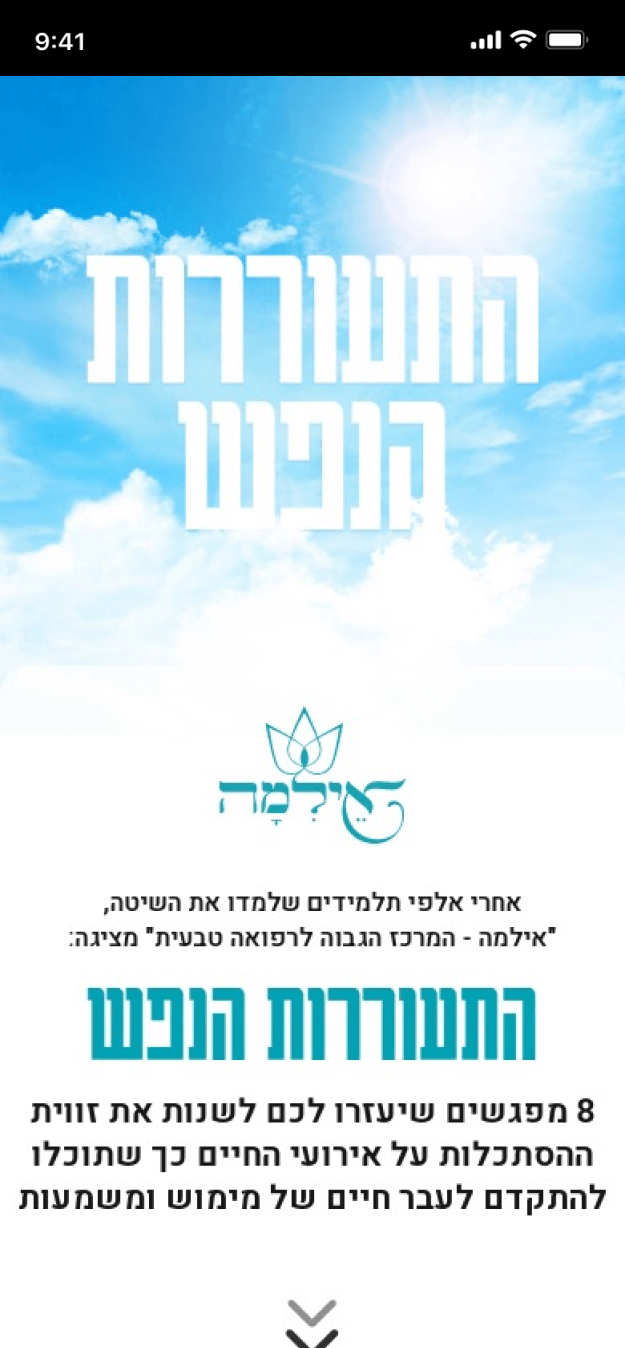 LM Web Solutions - אילמה