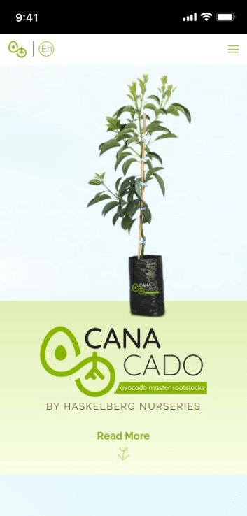 LM Web Solutions - Canacado