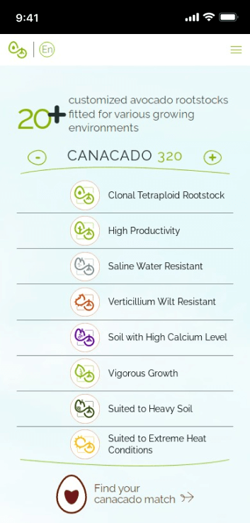 LM Web Solutions - Canacado