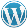 LM Web Solutions - שרותינו