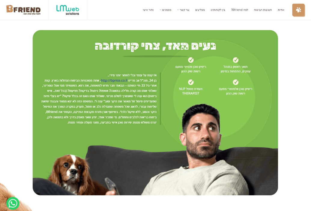 LM Web Solutions - Bfriend