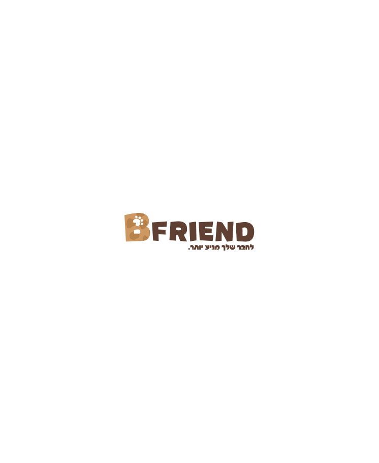 LM Web Solutions - Bfriend