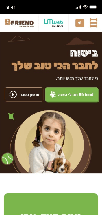 LM Web Solutions - Bfriend
