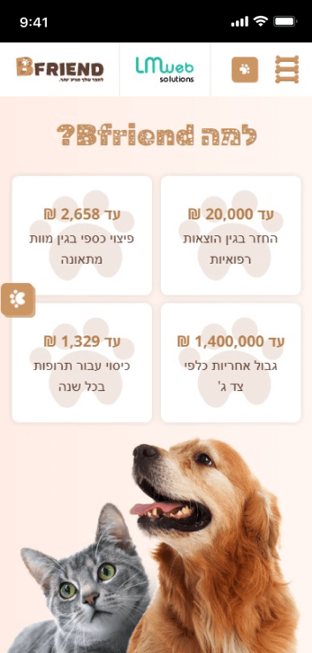 LM Web Solutions - Bfriend