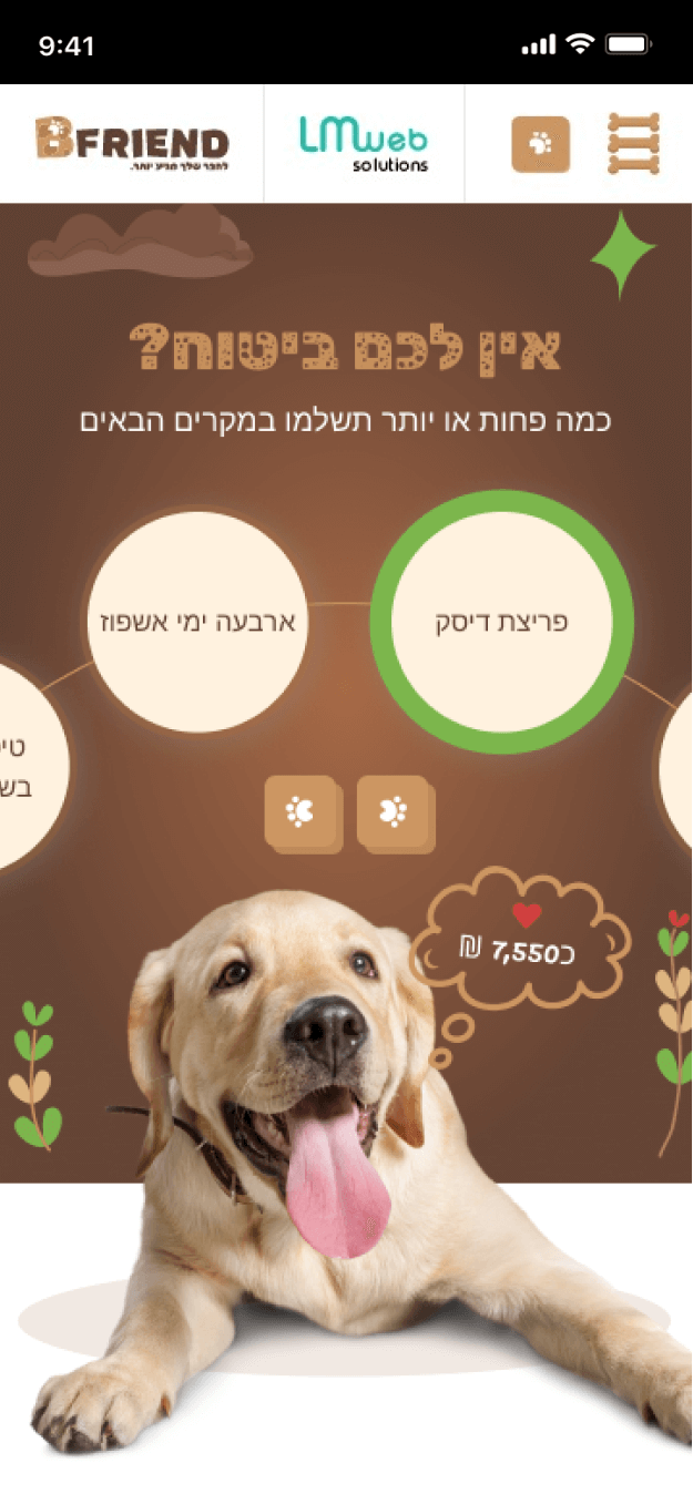 LM Web Solutions - Bfriend