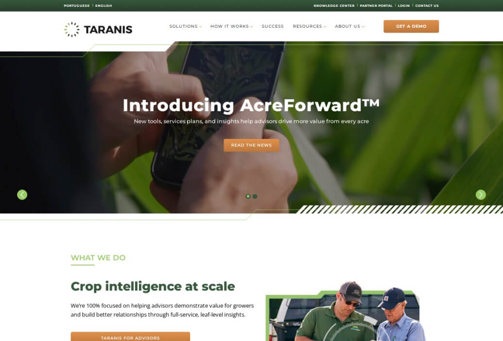 LM Web Solutions - Taranis