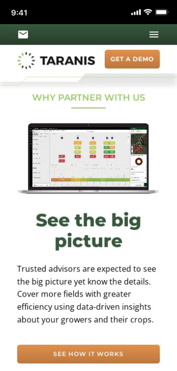 LM Web Solutions - Taranis