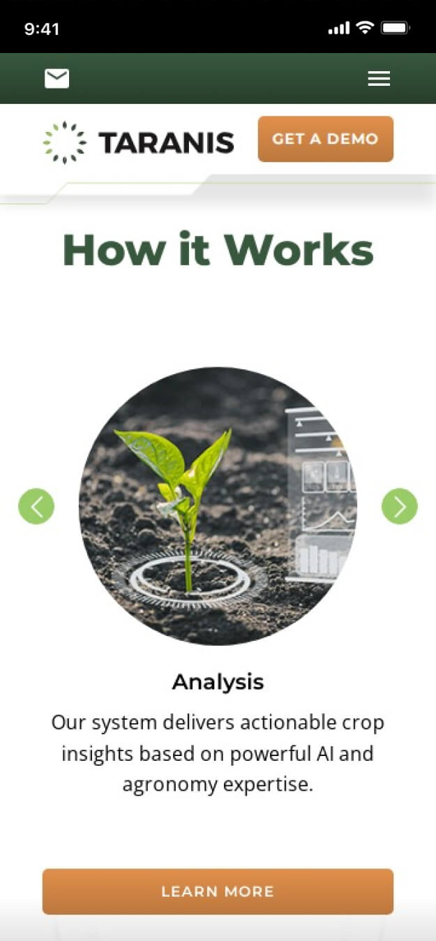 LM Web Solutions - Taranis