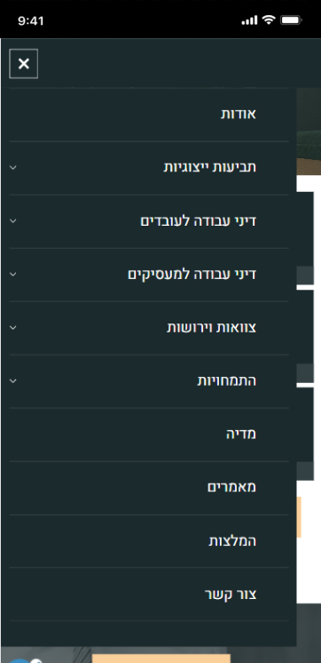 LM Web Solutions - ד"ר ליאת שטיין ושות’ - משרד עורכי דין