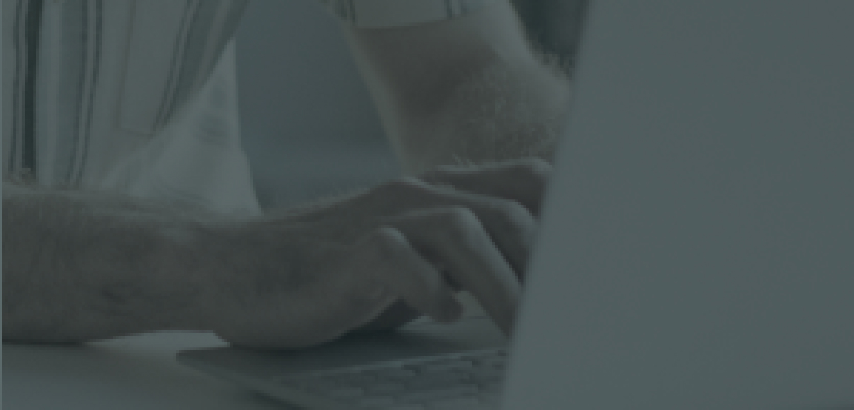 LM Web Solutions - ד"ר ליאת שטיין ושות’ - משרד עורכי דין