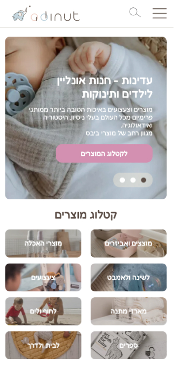 LM Web Solutions - עדינות