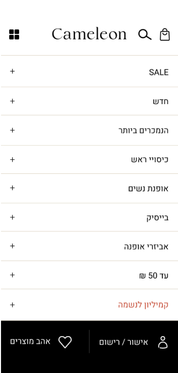 LM Web Solutions - קמיליון