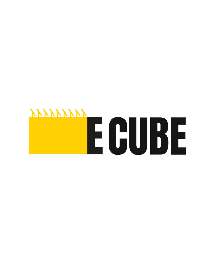 LM Web Solutions - Omni Cube