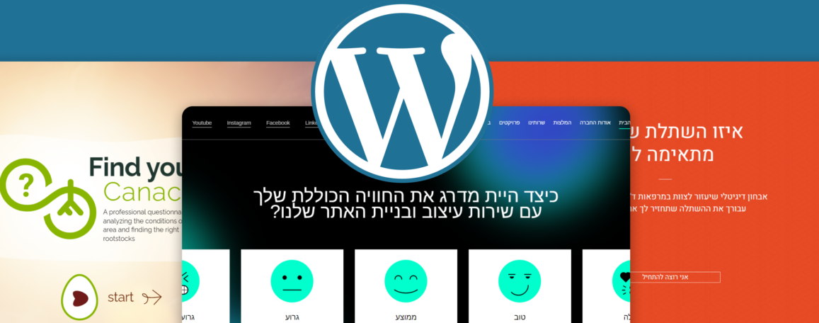 פיתוח שאלונים אינטראקטיביים