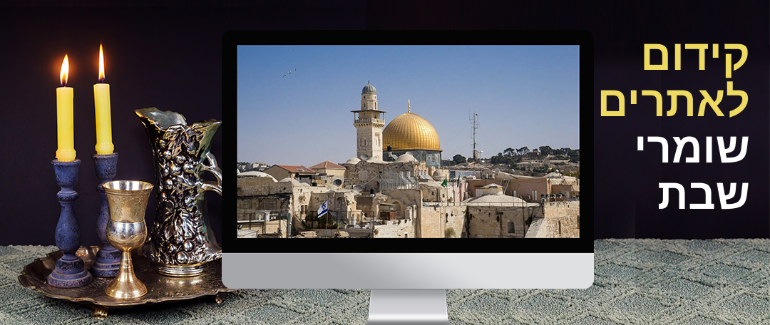 LM Web Solutions - קידום אתרים שומרי שבת