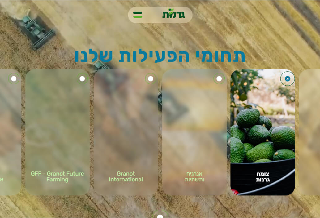 אתר קבוצת גרנות