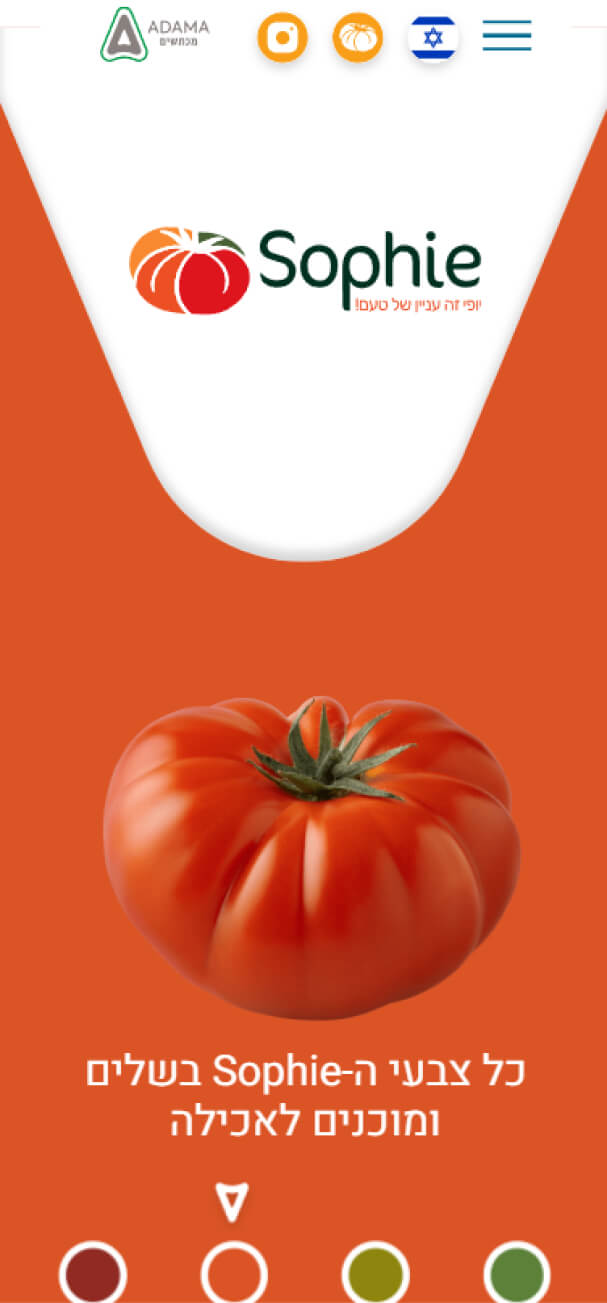 עמוד נחיתה סופי