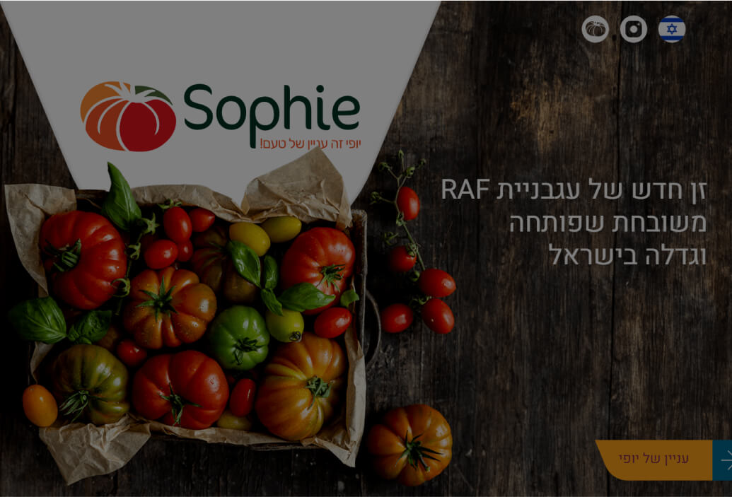 עמוד נחיתה סופי