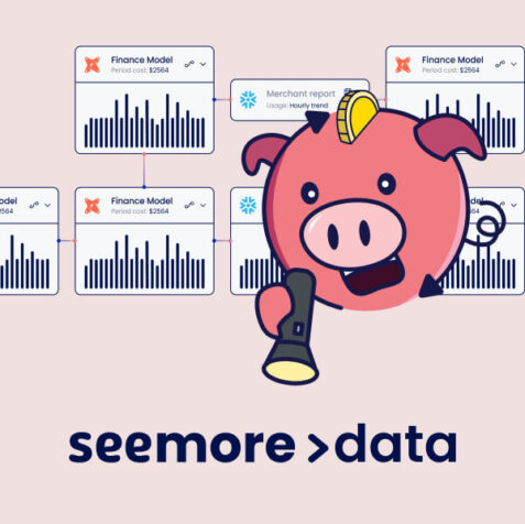 LM Web Solutions - Seemore Data