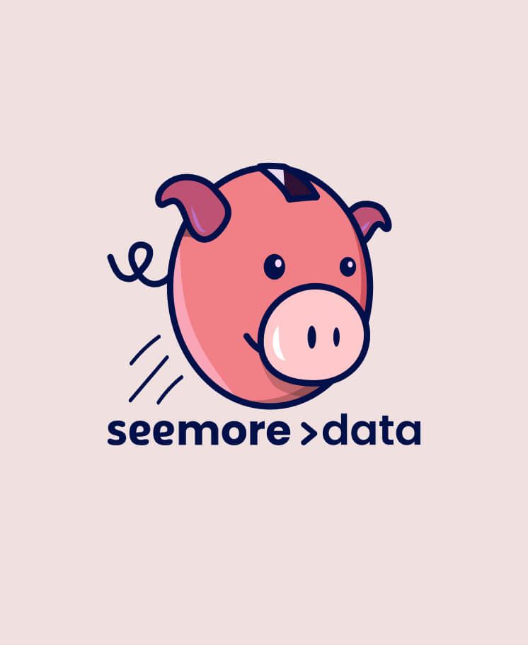 LM Web Solutions - Seemore Data