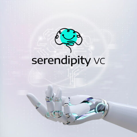 LM Web Solutions - Serendipity VC