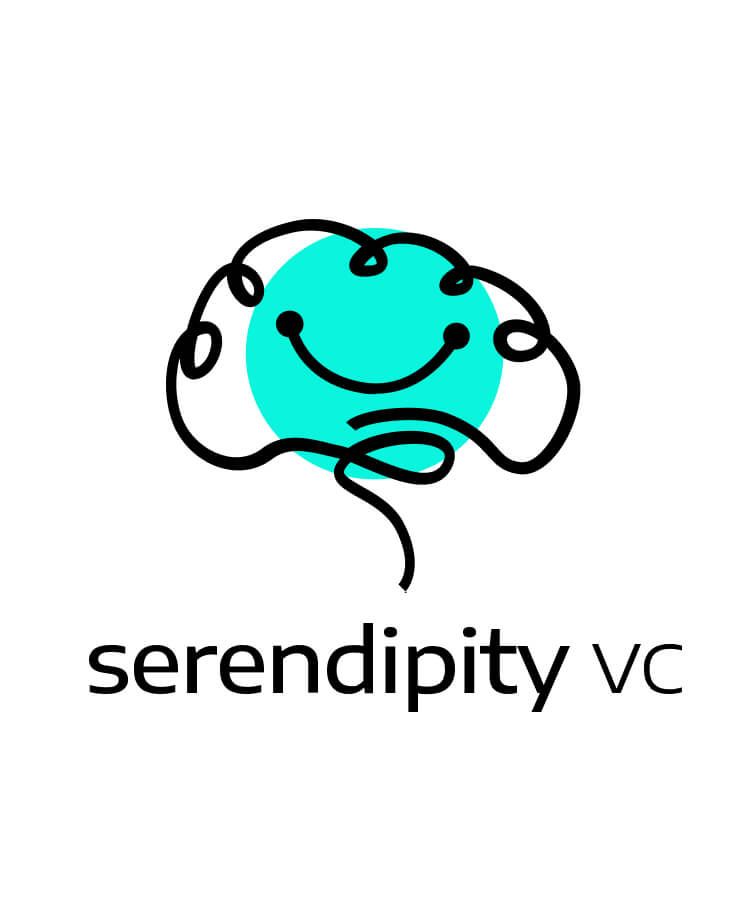 LM Web Solutions - Serendipity VC