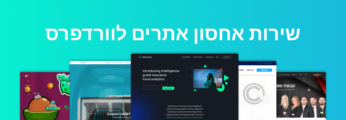 LM Web Solutions - שירות אחסון אתרים לוורדפרס
