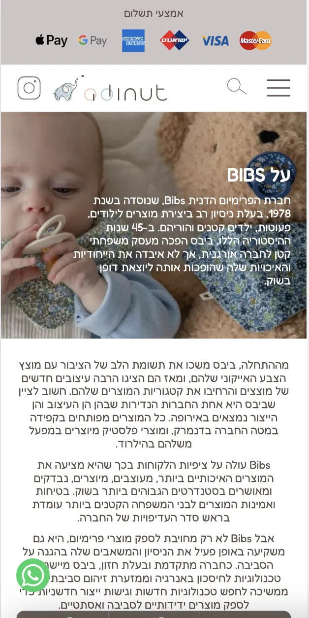 LM Web Solutions - עדינות