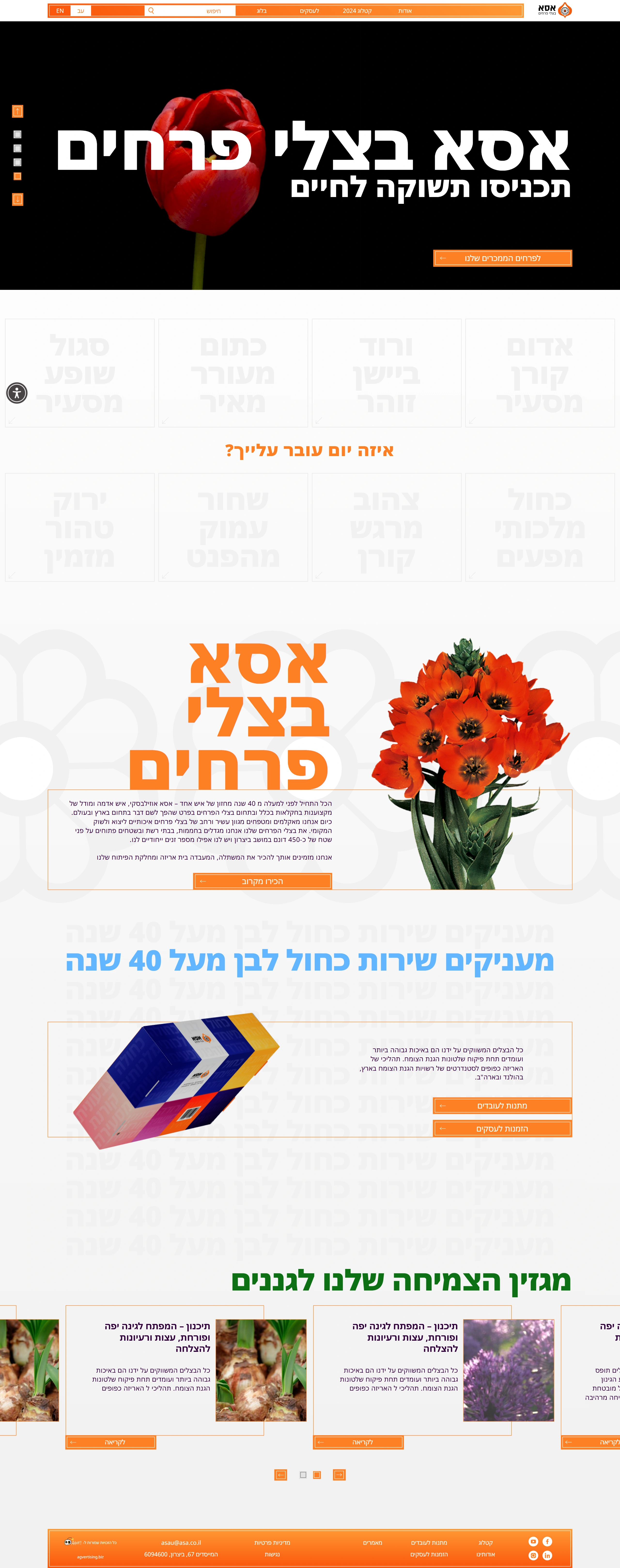 דף הבית של אתר אסא בצלי פרחים עם כותרת תכניסו תשוקה לחיים