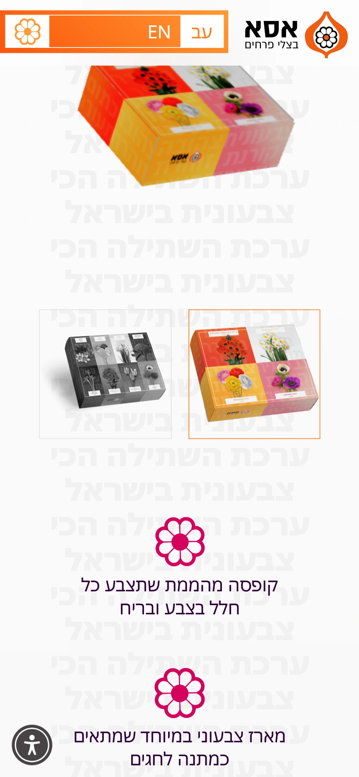 מסך מובייל עם קופסאות מתנה צבעוניות של אסא בצלי פרחים