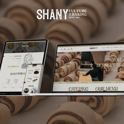 LM Web Solutions - Shany